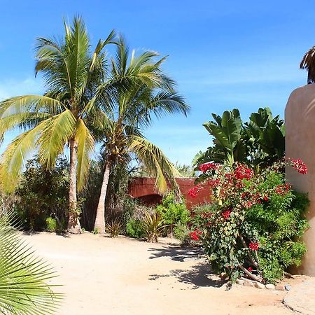 Flora Del Mar Hotel Todos Santos Exterior photo