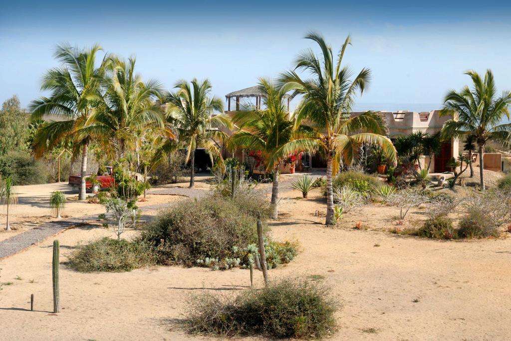 Flora Del Mar Hotel Todos Santos Exterior photo